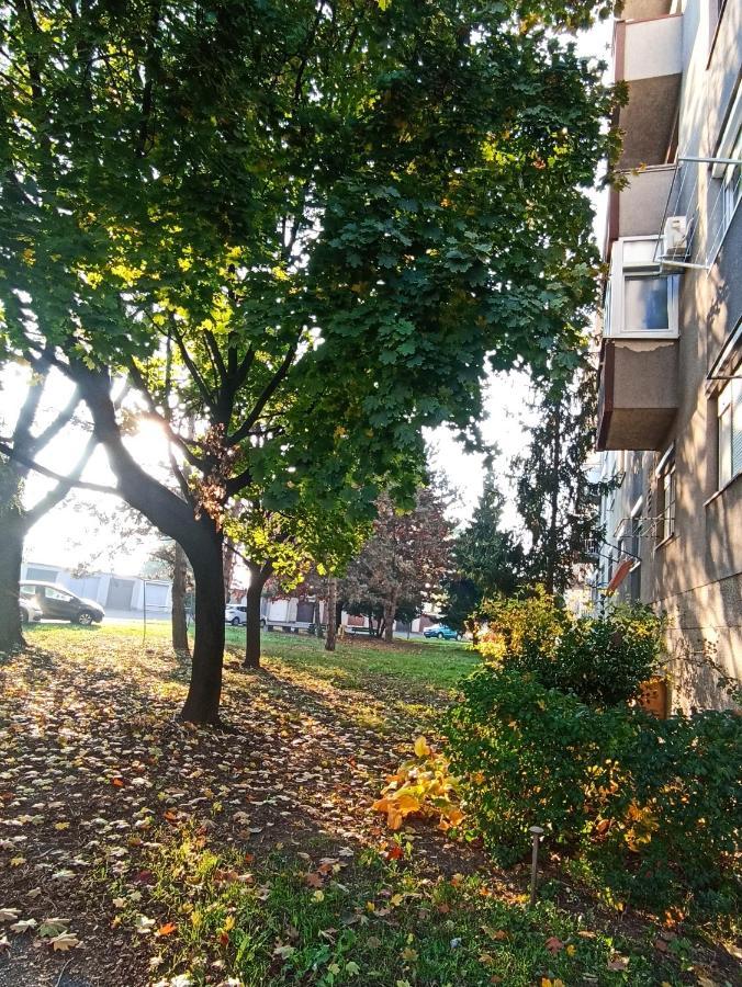 Apartment Close2Park *** Чаковец Экстерьер фото